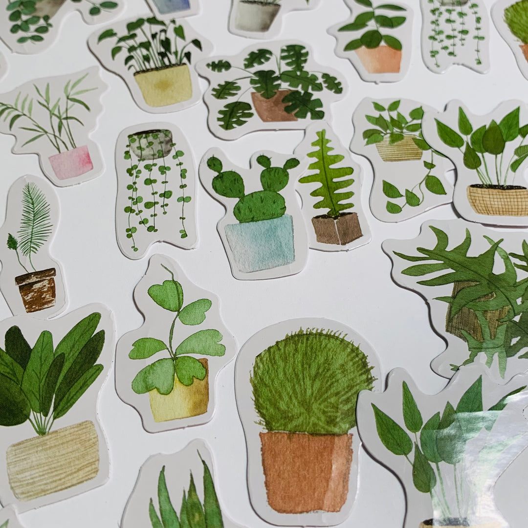 HOUSE PLANTS V2 CLEAN Air Peelable Stickers  ~ 46 Pieces ~ Each Sticker is Approximately 38mm