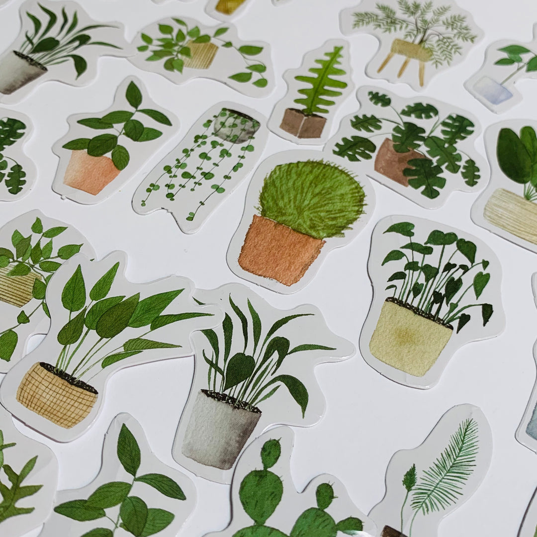 HOUSE PLANTS V2 CLEAN Air Peelable Stickers  ~ 46 Pieces ~ Each Sticker is Approximately 38mm