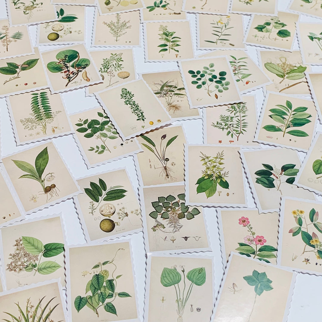 NATURAL FLORAL STAMPS Peelable Stickers  ~ 45 Pieces ~ Each Sticker is 38mm x 38mm