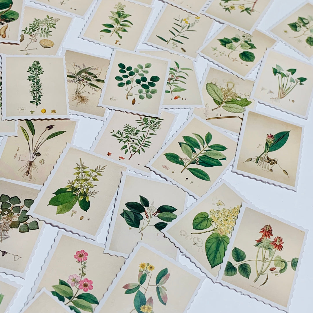 NATURAL FLORAL STAMPS Peelable Stickers  ~ 45 Pieces ~ Each Sticker is 38mm x 38mm