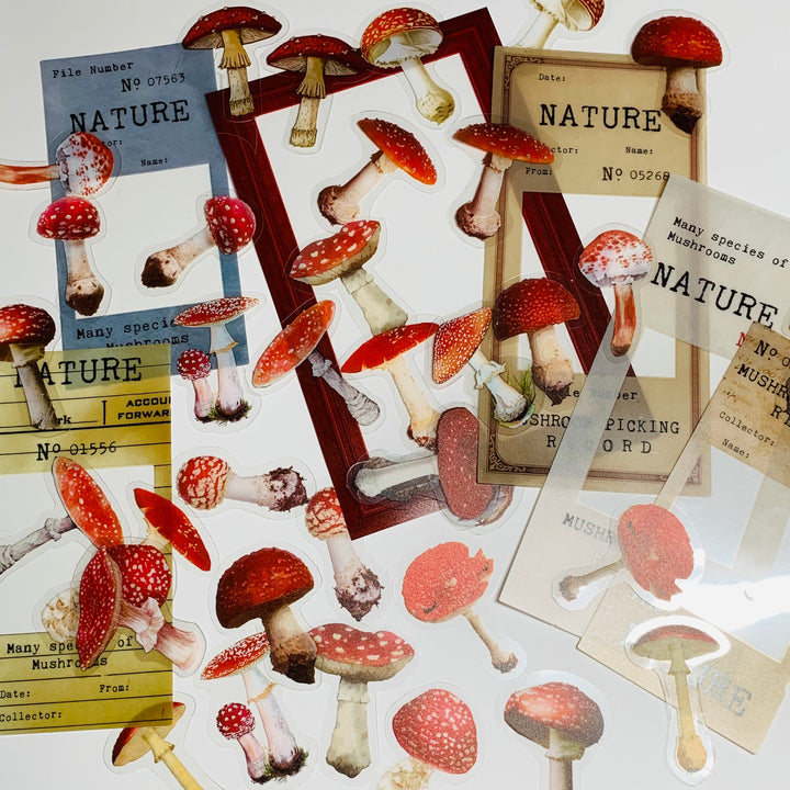 MUSHROOM NUMBERING ARCHIVE Book Series Peelable Sticker Ephemera Pack ~ 46 Pieces, Each Sticker 20-150mm