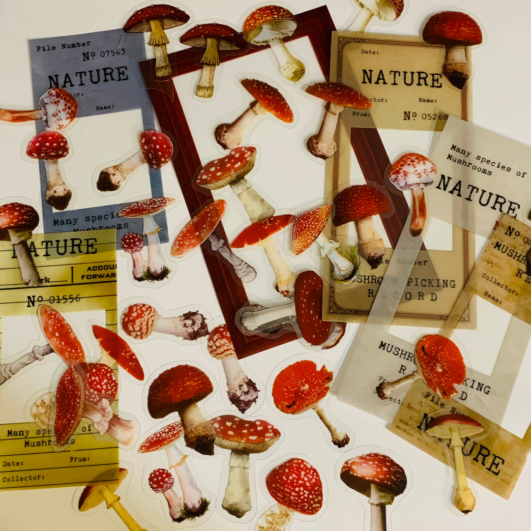 MUSHROOM NUMBERING ARCHIVE Book Series Peelable Sticker Ephemera Pack ~ 46 Pieces, Each Sticker 20-150mm