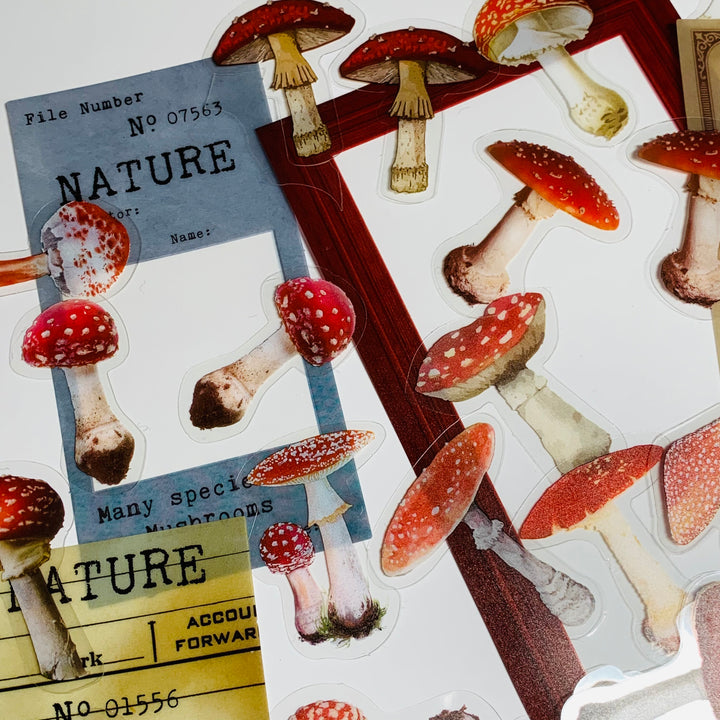 MUSHROOM NUMBERING ARCHIVE Book Series Peelable Sticker Ephemera Pack ~ 46 Pieces, Each Sticker 20-150mm