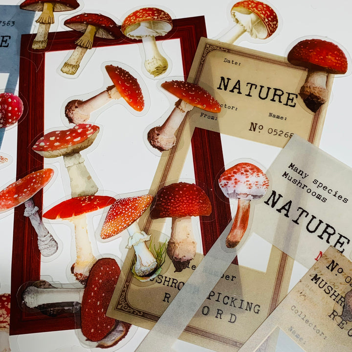 MUSHROOM NUMBERING ARCHIVE Book Series Peelable Sticker Ephemera Pack ~ 46 Pieces, Each Sticker 20-150mm