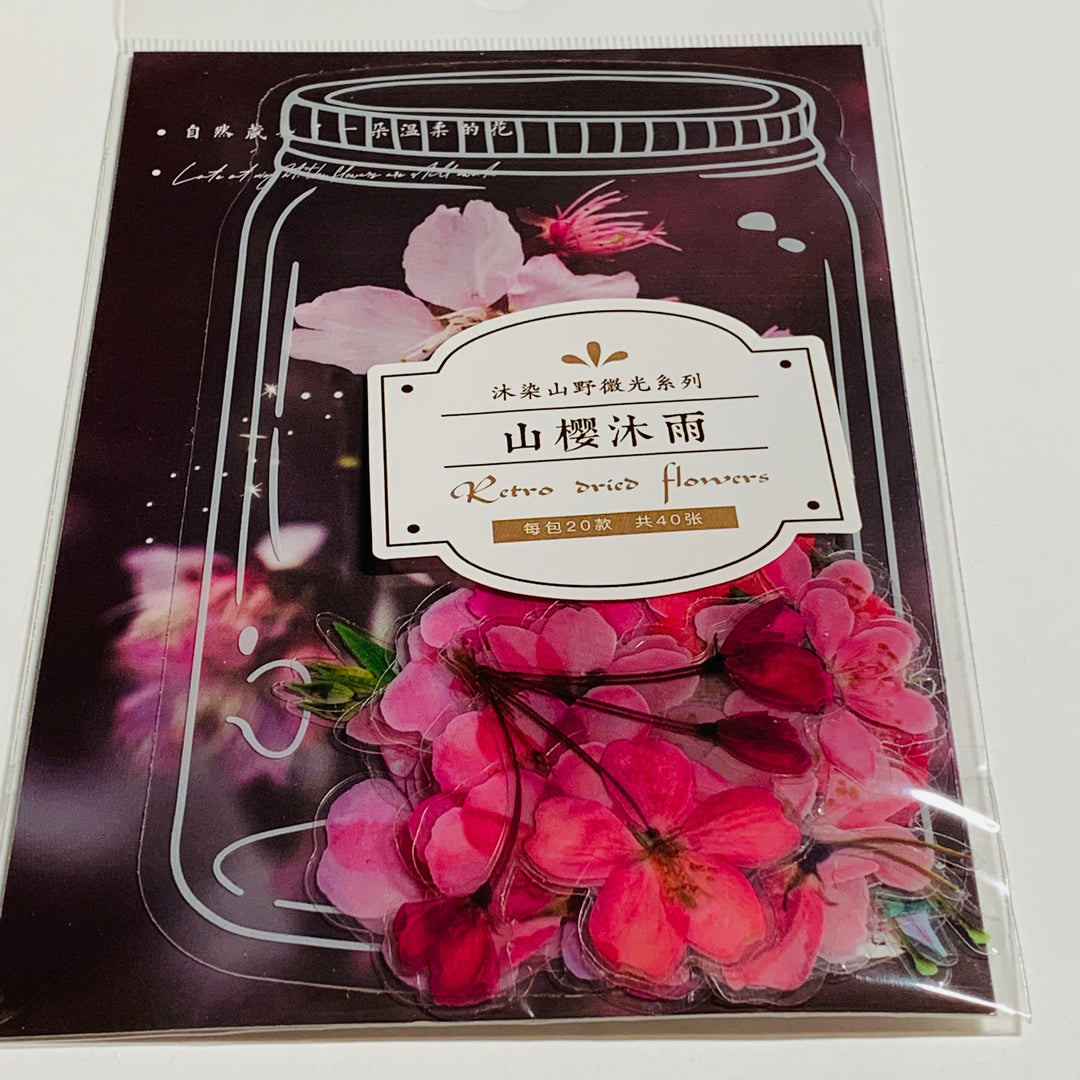 ROSY PINK DRIED FLOWERS Peelable Sticker Ephemera Pack ~ 40 Pieces, Each Sticker 50-100mm