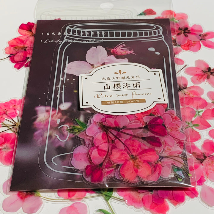 ROSY PINK DRIED FLOWERS Peelable Sticker Ephemera Pack ~ 40 Pieces, Each Sticker 50-100mm