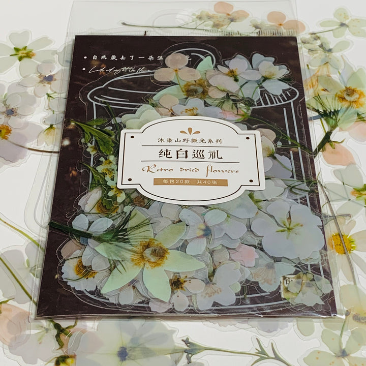 DELICATE WHITE DRIED FLOWERS Peelable Sticker Ephemera Pack ~ 40 Pieces, Each Sticker 50-100mm