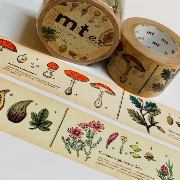 PLANTS & LEAVES ENCYCLOPEDIA Mt Washi Tape ~ 1 Roll ~ 30mm x 7m (23 Feet)