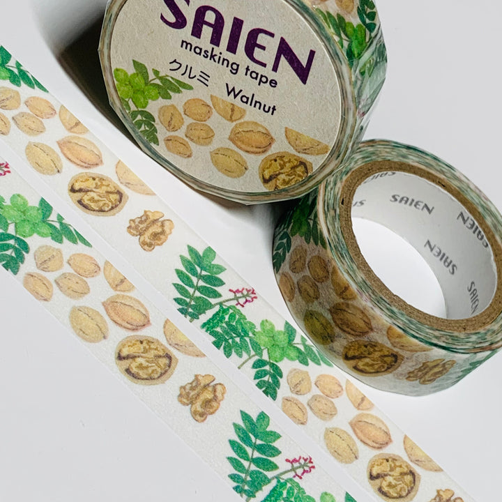 WALNUT SHELLS & LEAVES Saien Washi Tape ~ 1 Roll ~ 15mm x 10m (33 Feet)