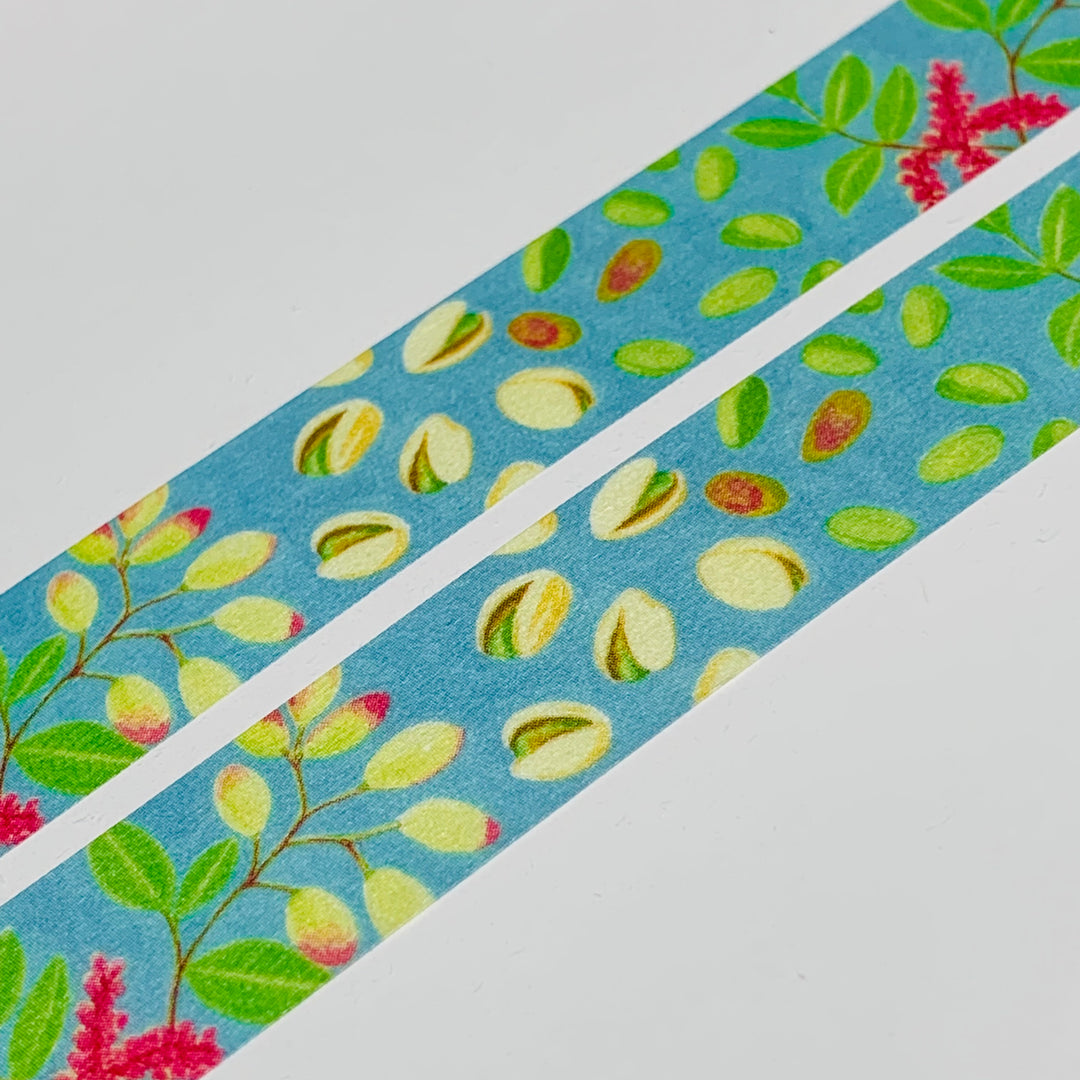 PISTACHIO NUTS TREE Saien Washi Tape ~ 1 Roll ~ 15mm x 10m (33 Feet)