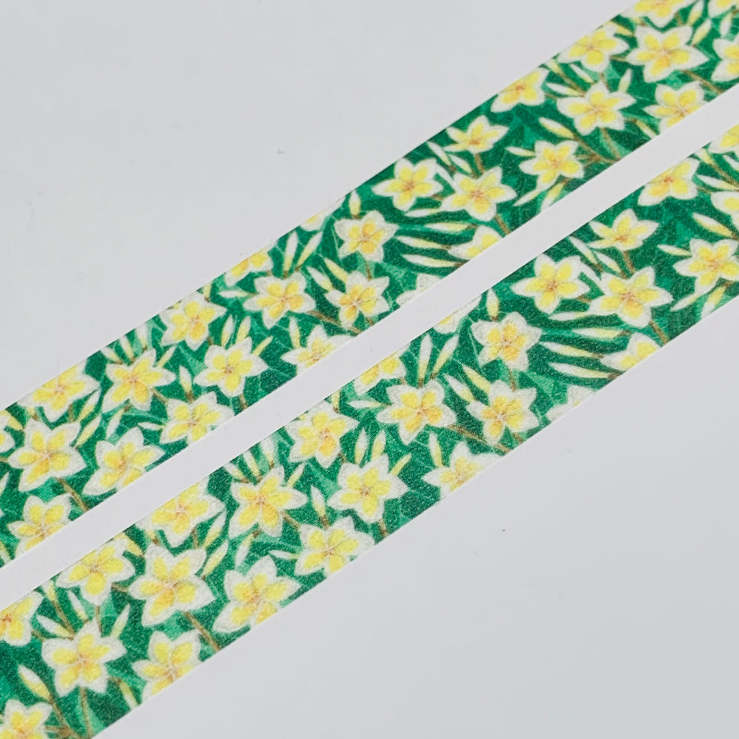 FRAGRANT PLUMERIA FLOWERS Saien Masking Washi Tape ~ 1 Roll ~ 15mm x 10m (33 Feet)