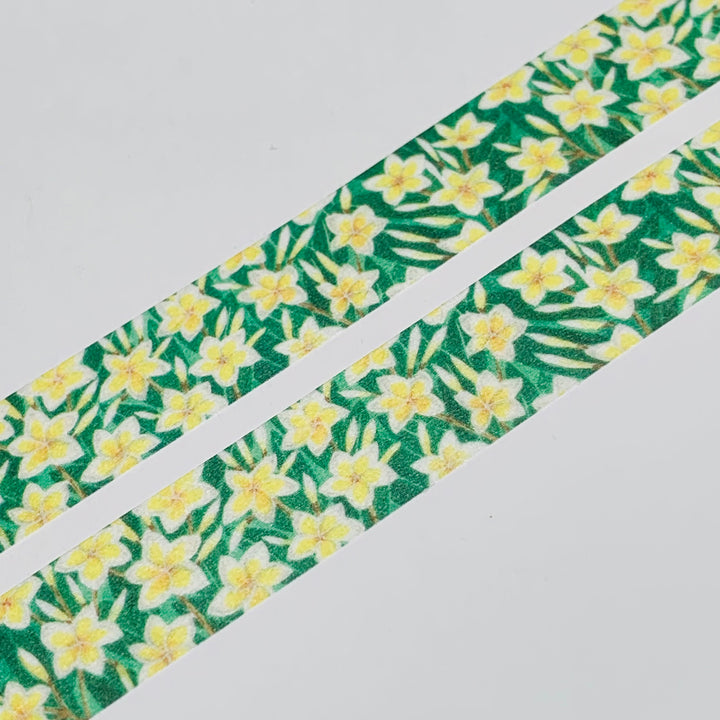 FRAGRANT PLUMERIA FLOWERS Saien Masking Washi Tape ~ 1 Roll ~ 15mm x 10m (33 Feet)