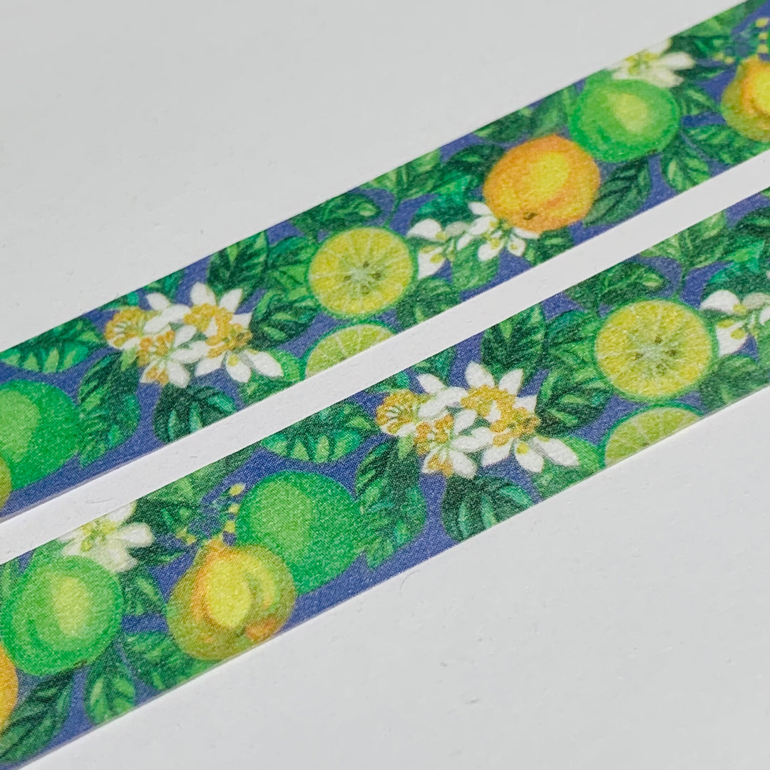 BERGAMOT CITRUS FRUIT TREES Saien Masking Washi Tape ~ 1 Roll ~ 15mm x 10m (33 Feet)