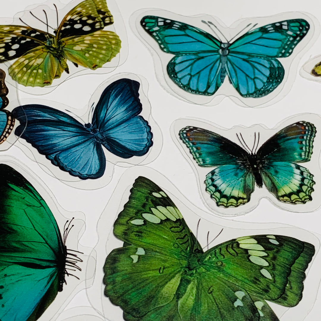 GREEN BUTTERFLY NATURE Series Transparent Peelable Stickers ~ 40 Stickers - 40 to 50mm In Size