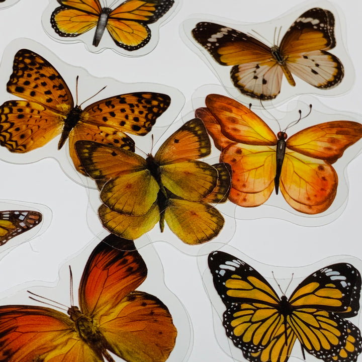 ORANGE BUTTERFLY NATURE Series Transparent Peelable Stickers ~ 40 Stickers - 40 to 50mm In Size