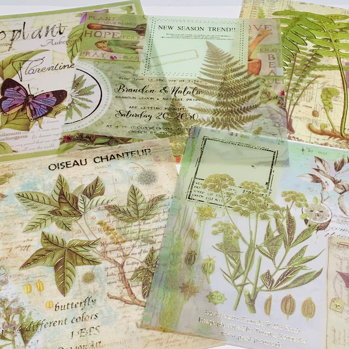 BOTANICAL FLORA & FAUNA Vellum & Designed Ephemera Paper Pack ~ 15 Sheets ~ Size 5 x 5 Inches