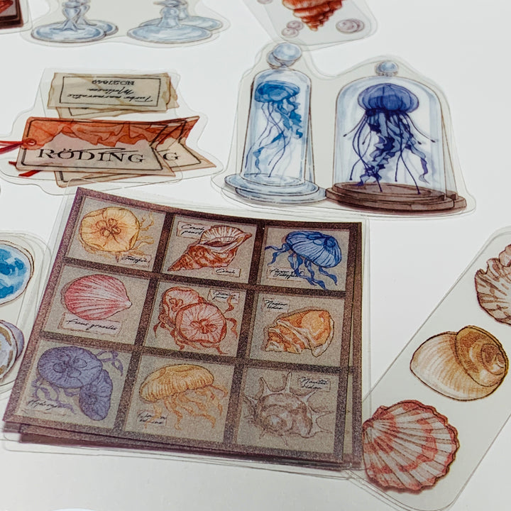 JELLYFISH & SEA SHELL COLLECTION Transparent Peelable Sticker Pack ~ 40 Pieces ~ 85-115 mm Each