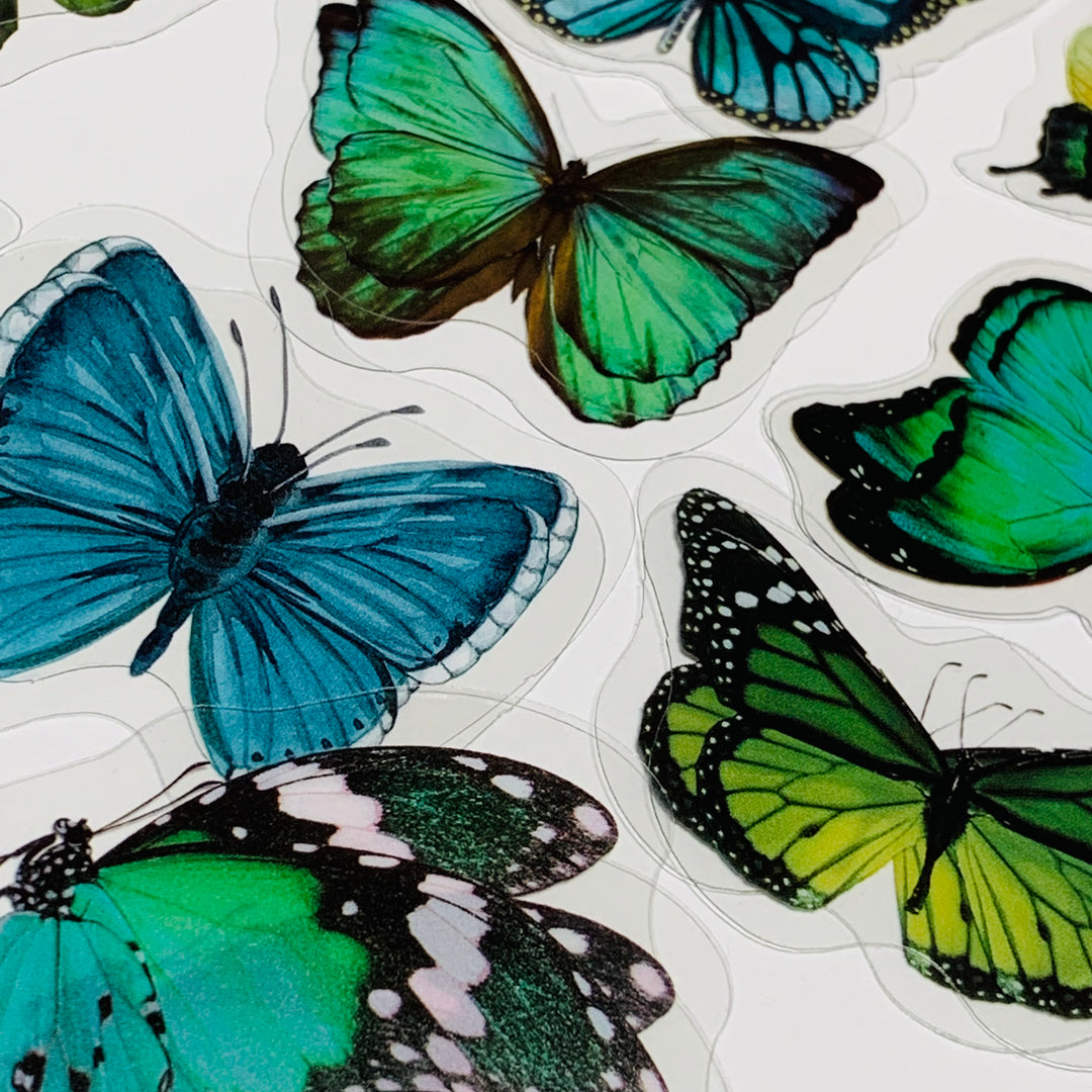 GREEN BUTTERFLY NATURE Series Transparent Peelable Stickers ~ 40 Stickers - 40 to 50mm In Size