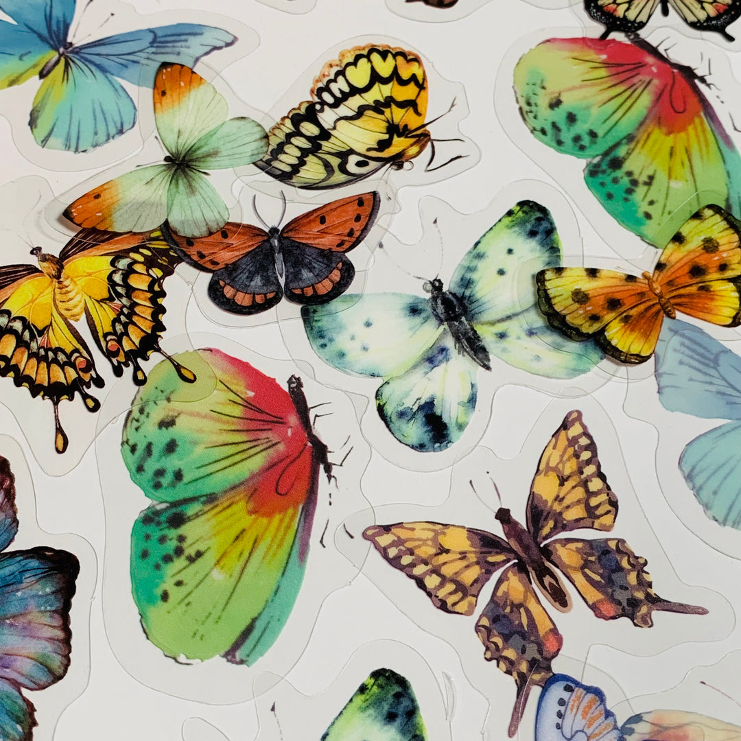 RAINBOW BUTTERFLY NATURE Series Transparent Peelable Stickers ~ 40 Stickers - 40 to 50mm In Size