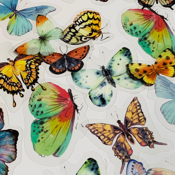 RAINBOW BUTTERFLY NATURE Series Transparent Peelable Stickers ~ 40 Stickers - 40 to 50mm In Size