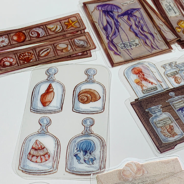 JELLYFISH & SEA SHELL COLLECTION Transparent Peelable Sticker Pack ~ 40 Pieces ~ 85-115 mm Each