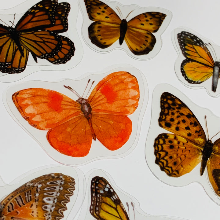 ORANGE BUTTERFLY NATURE Series Transparent Peelable Stickers ~ 40 Stickers - 40 to 50mm In Size
