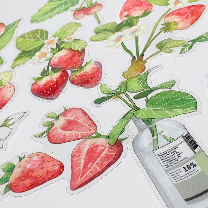 STRAWBERRY PLANTS & THEIR CARE Transparent Peelable Sticker Ephemera Pack ~ 10 Large Stickets ~ Approx  152 x 90 mm Each