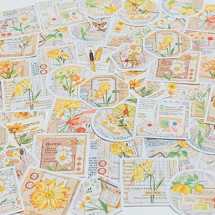 WORLD GEOGRAPHY MIXED MEDIA DECO Peelable Stickers  ~ 46 Pieces ~ 44mm