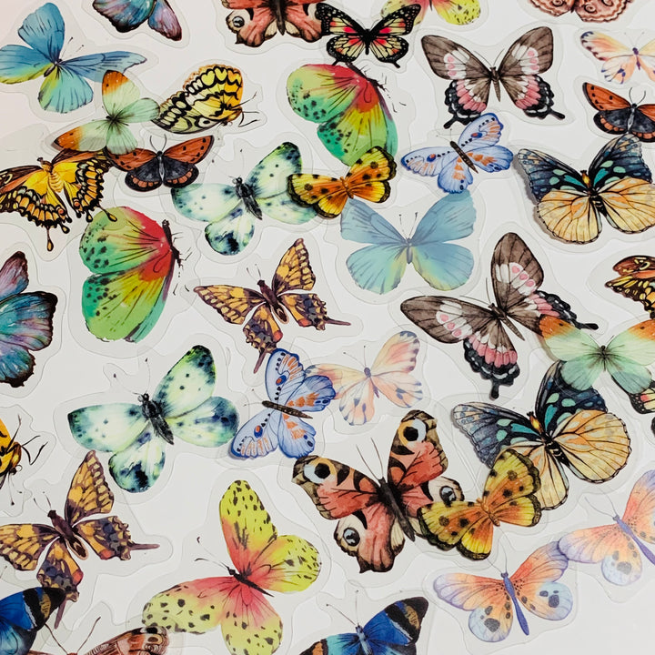 RAINBOW BUTTERFLY NATURE Series Transparent Peelable Stickers ~ 40 Stickers - 40 to 50mm In Size