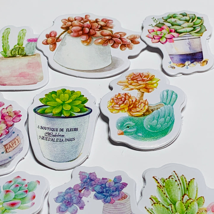 GORGEOUS GREEN & RAINBOW SUCCULENTS Peelable Stickers  ~ 45 Pieces ~ Approximately 40mm