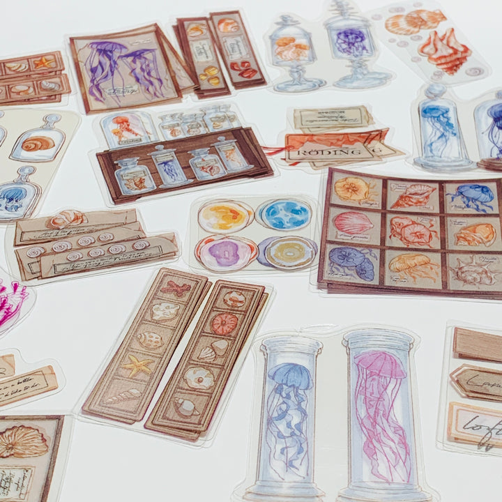 JELLYFISH & SEA SHELL COLLECTION Transparent Peelable Sticker Pack ~ 40 Pieces ~ 85-115 mm Each