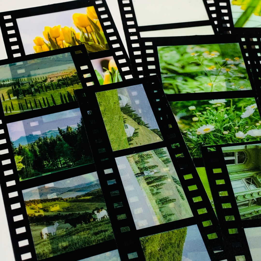 KEEP WALKING GREENS 35mm Negatives Film Gallery Transparent Stickers  ~ 15 Strips