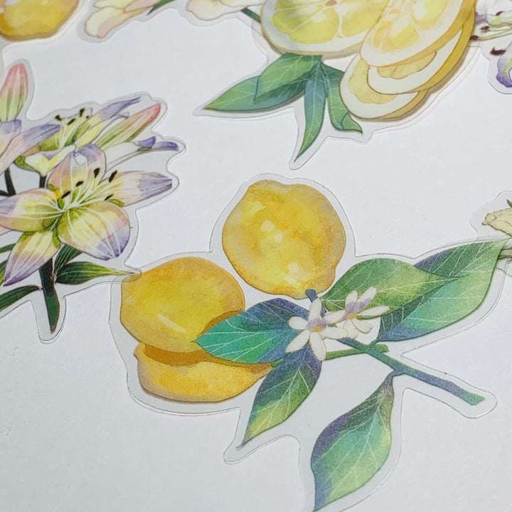 LEMON TREE SLICES & ORCHIDS Transparent Peelable Sticker Ephemera Pack ~ 10 Large Stickets ~ Approx  152 x 90 mm Each