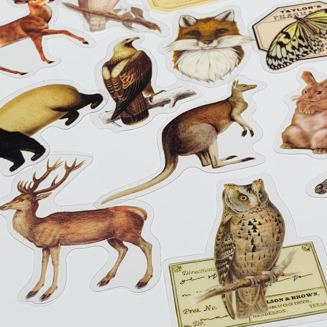 WILD ANIMAL KINGDOM Peelable Stickers Pack ~ 40 Pieces ~ 85-105mm