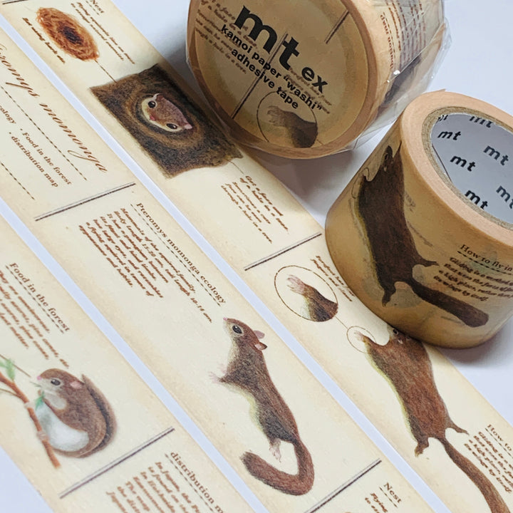 ENCYCLOPEDIA FLYING SQUIRREL MT Washi Tape ~ 1 Roll ~ 30mm x 7m