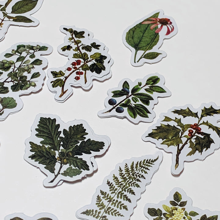 GREEN LEAF STORY FOREST ADVENTURE WILDFLOWERS Peelable Stickers  ~ 50 Pieces ~ 45mm Each