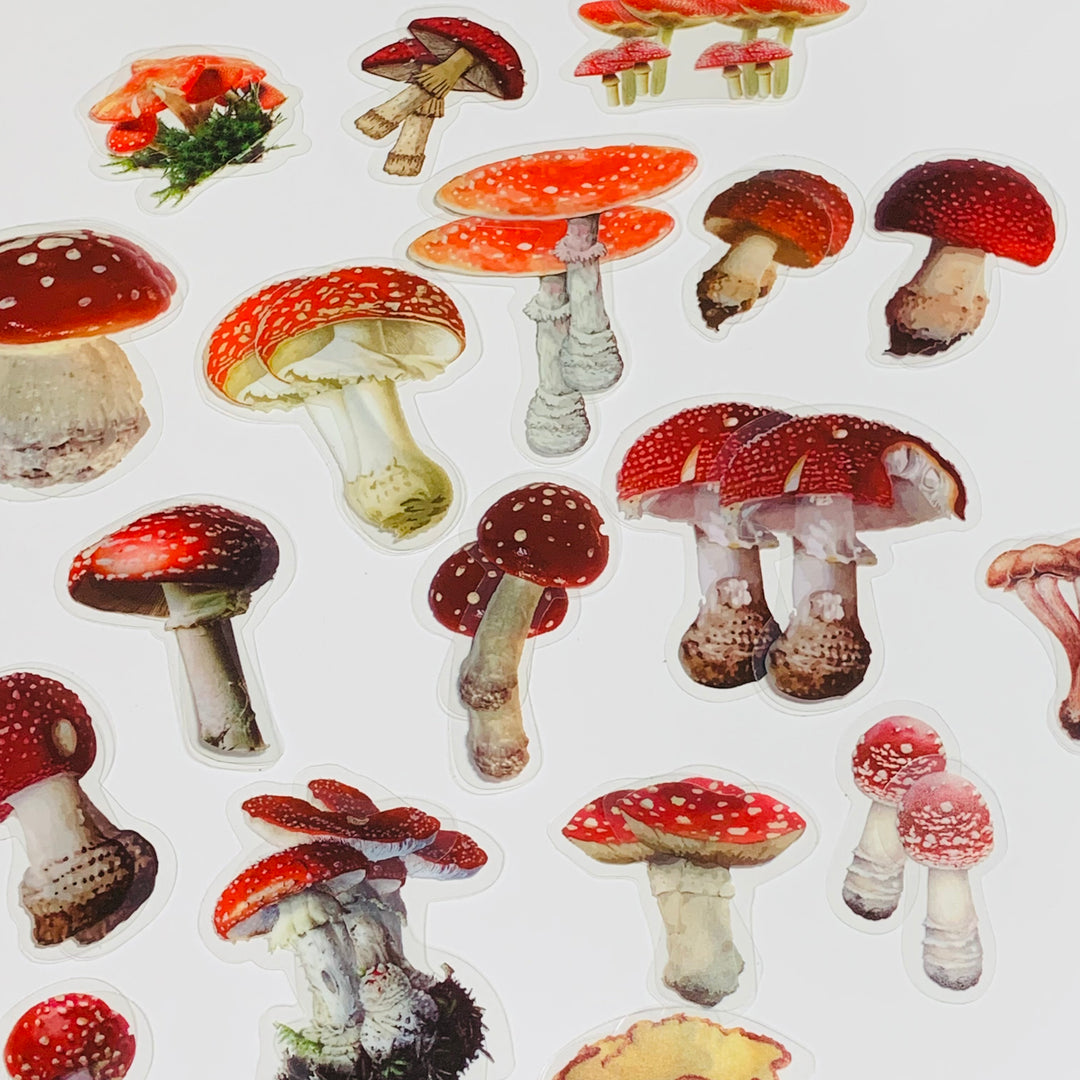 MUSHROOM COLLECTION Peelable Sticker Ephemera Pack ~ 40 Pieces, Each Sticker 40-60mm