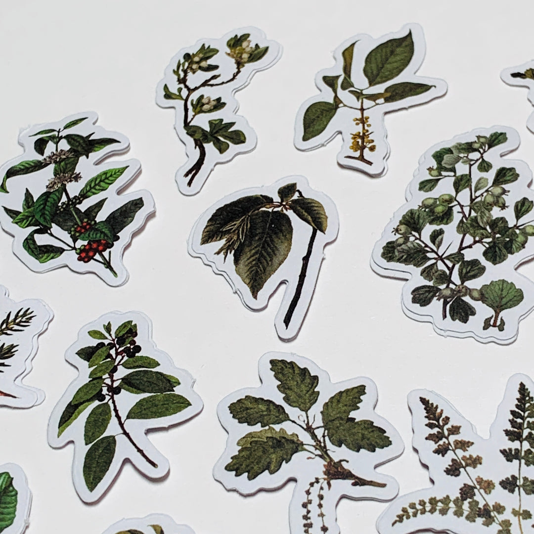 GREEN LEAF STORY FOREST ADVENTURE WILDFLOWERS Peelable Stickers  ~ 50 Pieces ~ 45mm Each