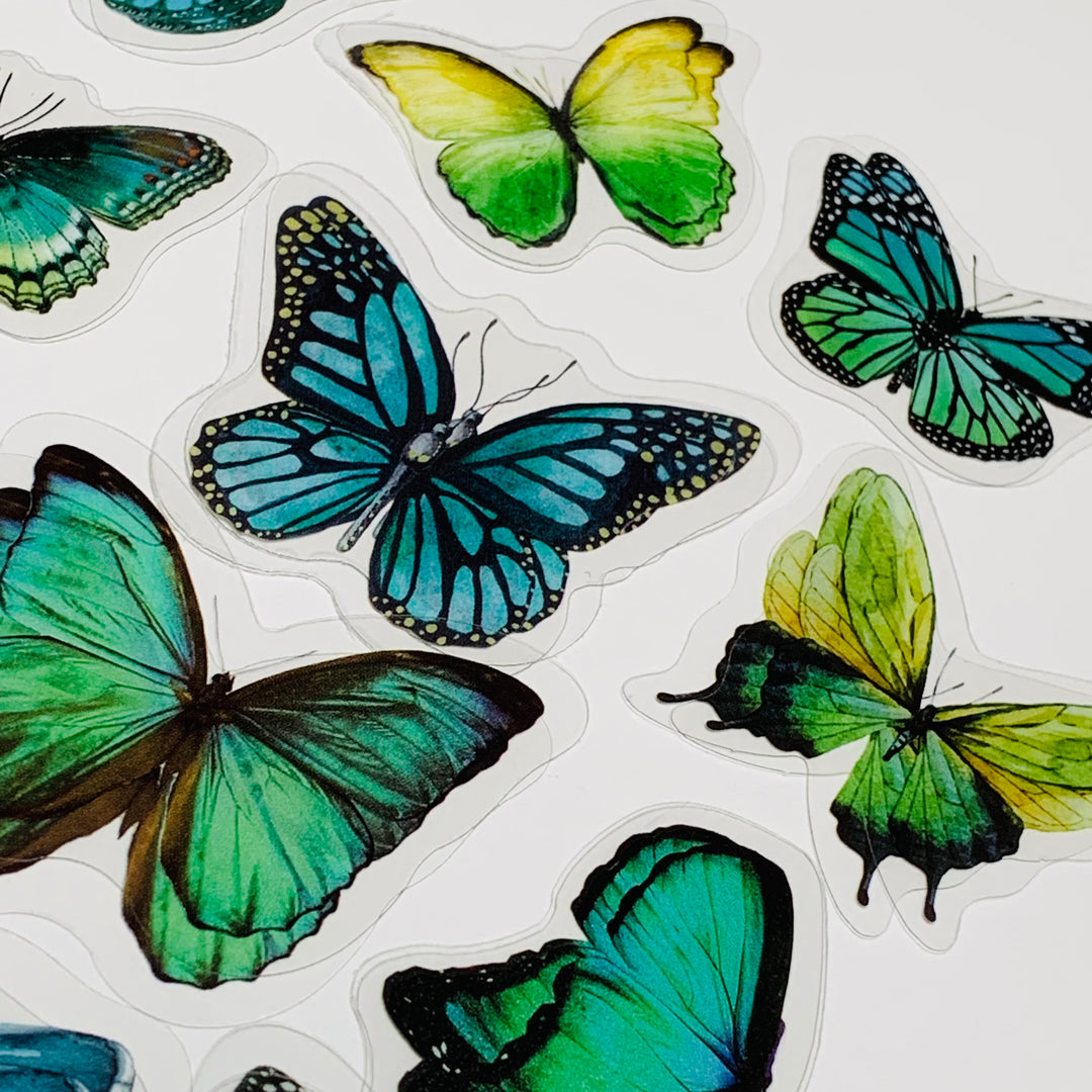 GREEN BUTTERFLY NATURE Series Transparent Peelable Stickers ~ 40 Stickers - 40 to 50mm In Size