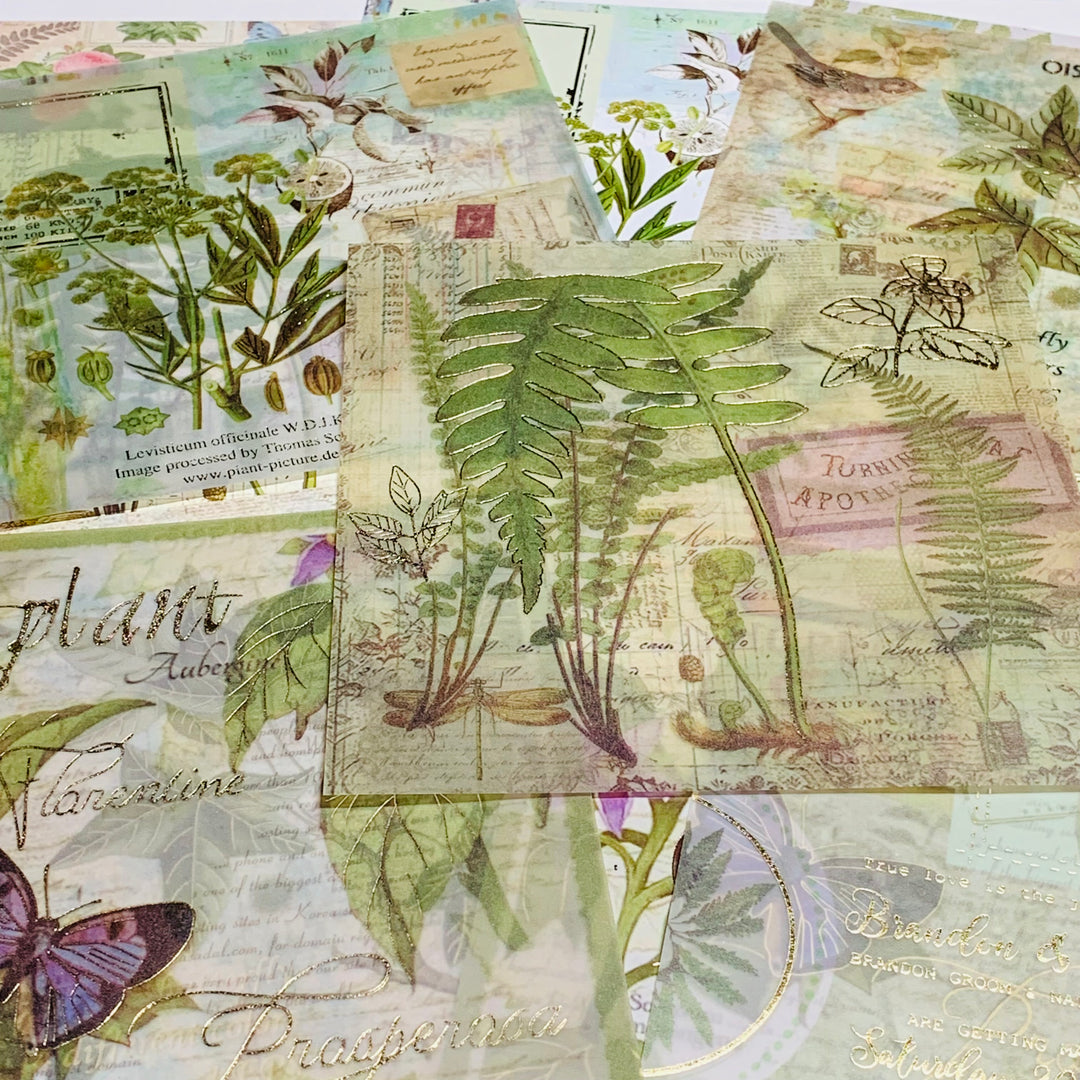 BOTANICAL FLORA & FAUNA Vellum & Designed Ephemera Paper Pack ~ 15 Sheets ~ Size 5 x 5 Inches