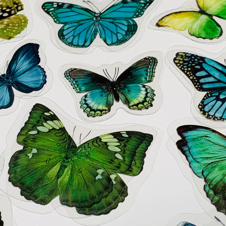 GREEN BUTTERFLY NATURE Series Transparent Peelable Stickers ~ 40 Stickers - 40 to 50mm In Size