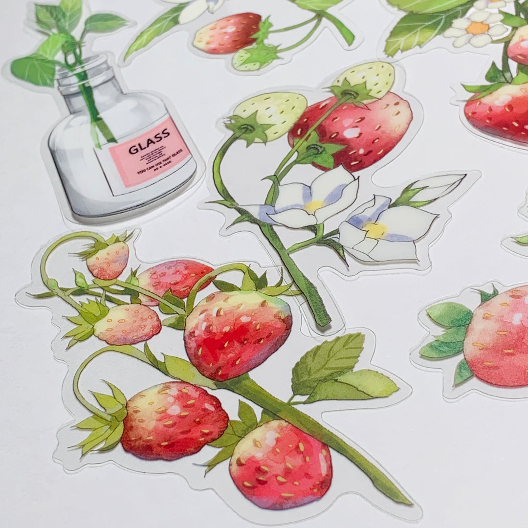 STRAWBERRY PLANTS & THEIR CARE Transparent Peelable Sticker Ephemera Pack ~ 10 Large Stickets ~ Approx  152 x 90 mm Each