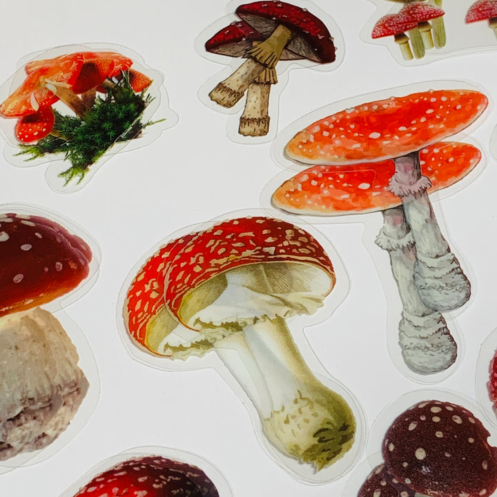 MUSHROOM COLLECTION Peelable Sticker Ephemera Pack ~ 40 Pieces, Each Sticker 40-60mm