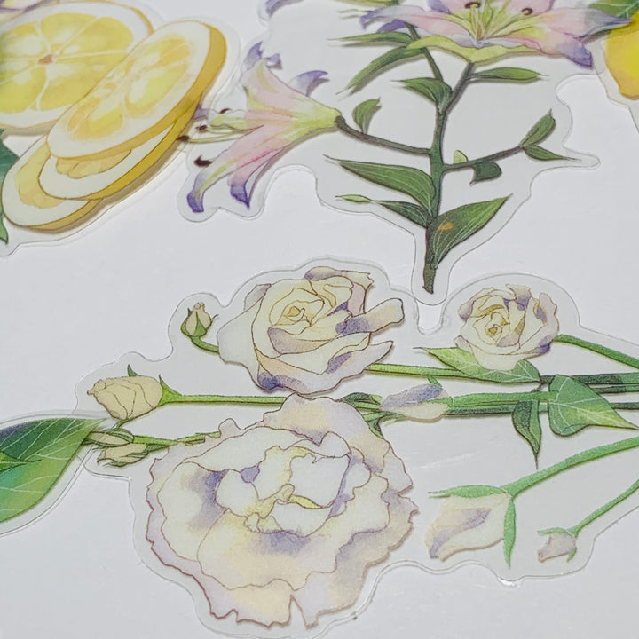 LEMON TREE SLICES & ORCHIDS Transparent Peelable Sticker Ephemera Pack ~ 10 Large Stickets ~ Approx  152 x 90 mm Each