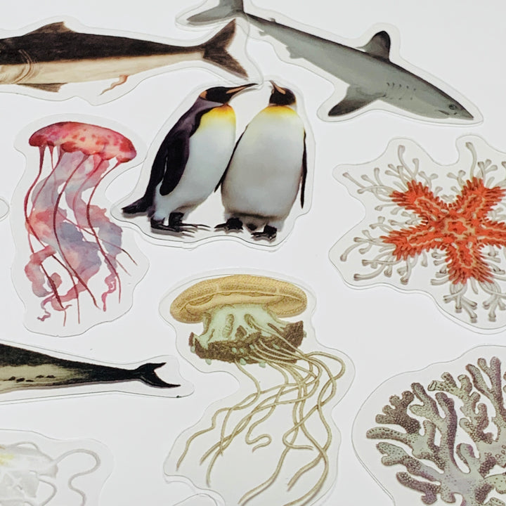 OCEAN LIFE OCTOPUS PENGUINS SHARKS Peelable Stickers Pack ~ 40 Pieces ~ 85-105mm