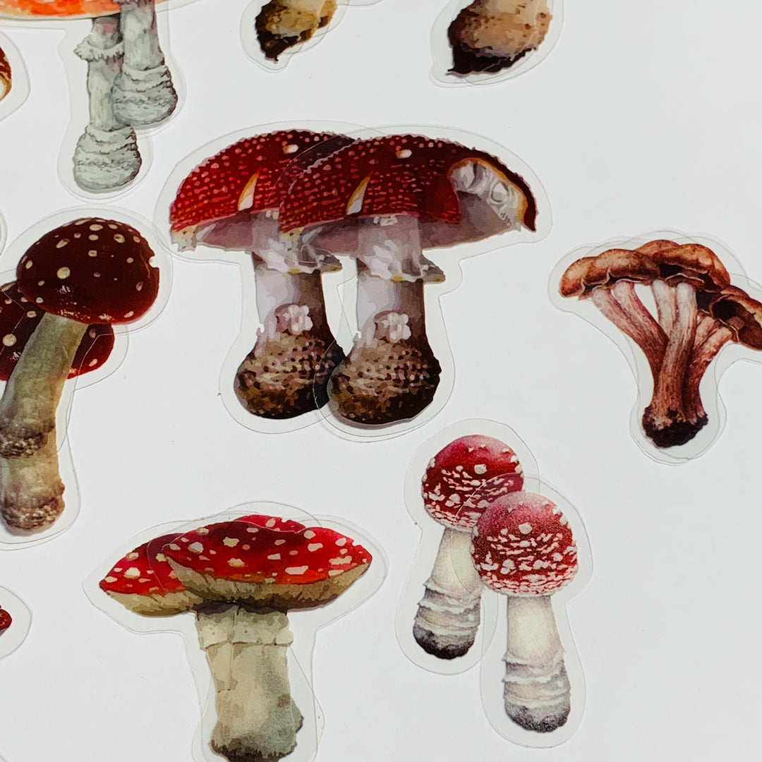 MUSHROOM COLLECTION Peelable Sticker Ephemera Pack ~ 40 Pieces, Each Sticker 40-60mm