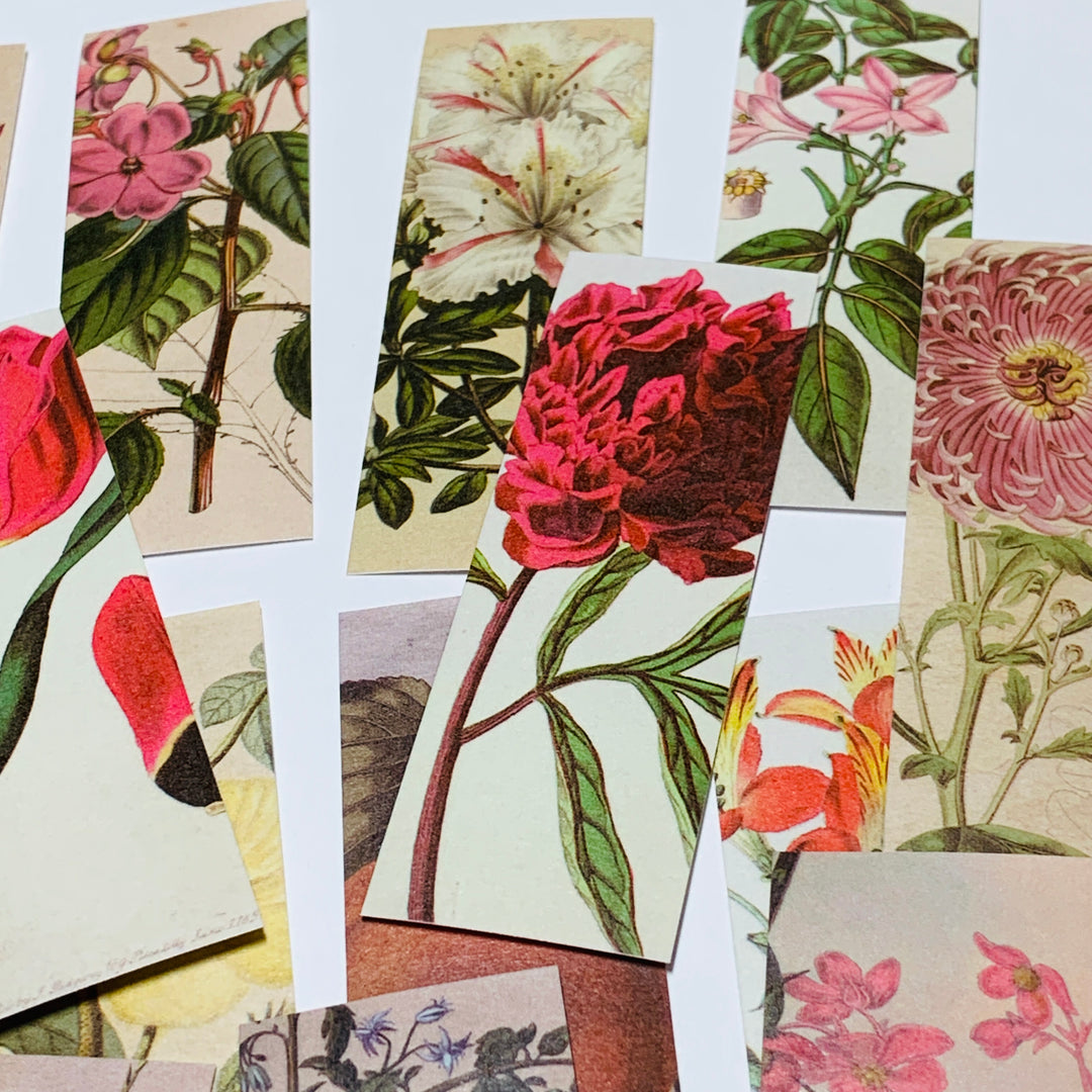 RETRO ILLUSTRATED FLORAL Sticker Sheets Stack ~ 50 Sticker Strips ~ 1 x 3 Inches