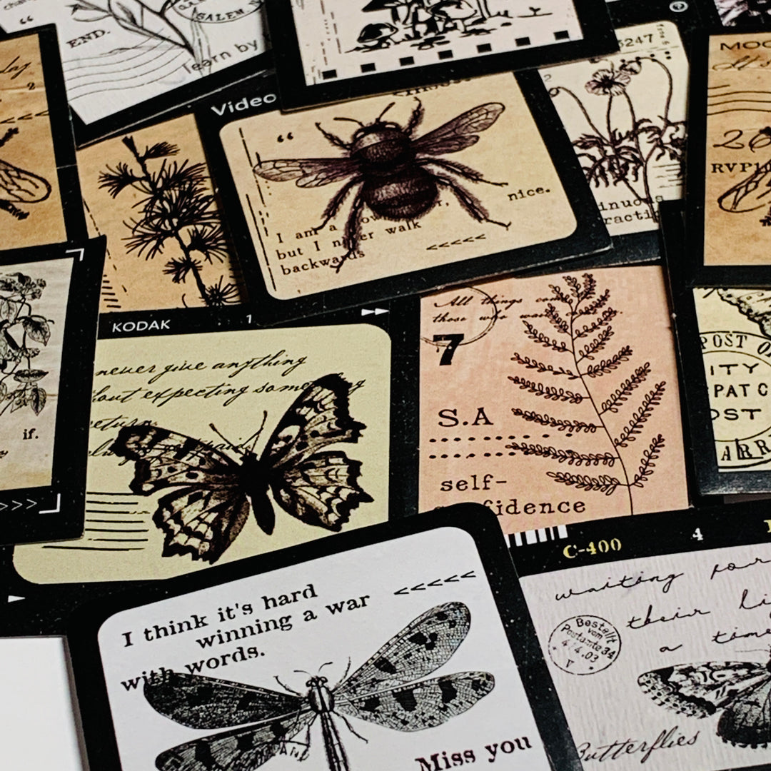 FILM DRAGONFLIES & BUTTERFLIES SPECIMENS Peelable Stickers  ~ 46 Pieces ~ 44mm Each