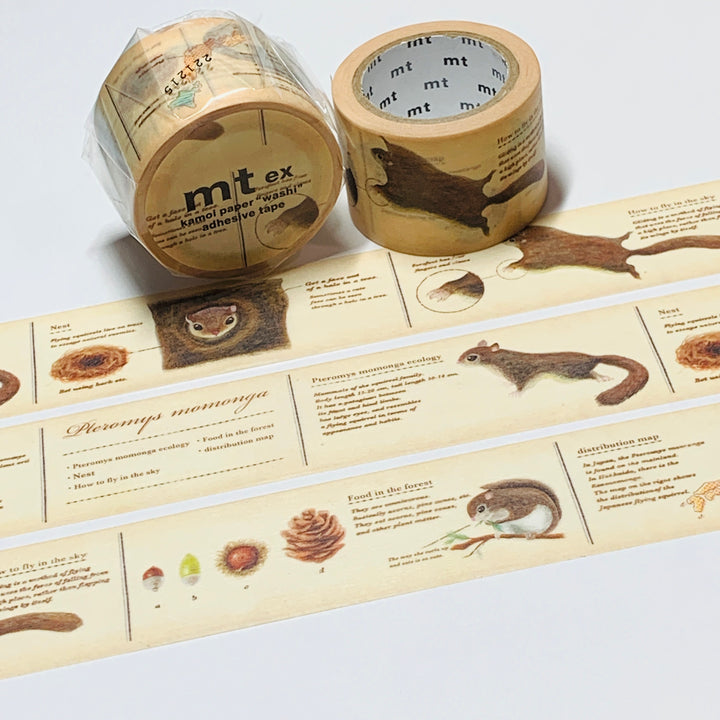 ENCYCLOPEDIA FLYING SQUIRREL MT Washi Tape ~ 1 Roll ~ 30mm x 7m