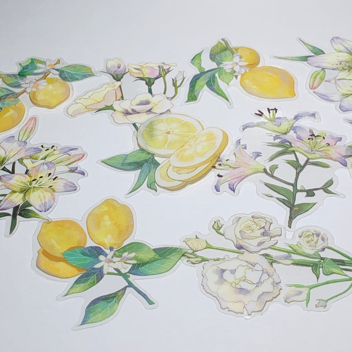 LEMON TREE SLICES & ORCHIDS Transparent Peelable Sticker Ephemera Pack ~ 10 Large Stickets ~ Approx  152 x 90 mm Each